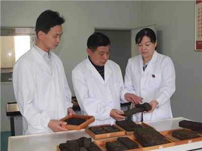 傳承茯茶非遺技藝、開(kāi)拓創(chuàng)新引領(lǐng)行業(yè)發(fā)展